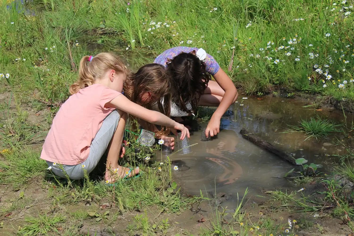 Espace nature pour explorer la faune