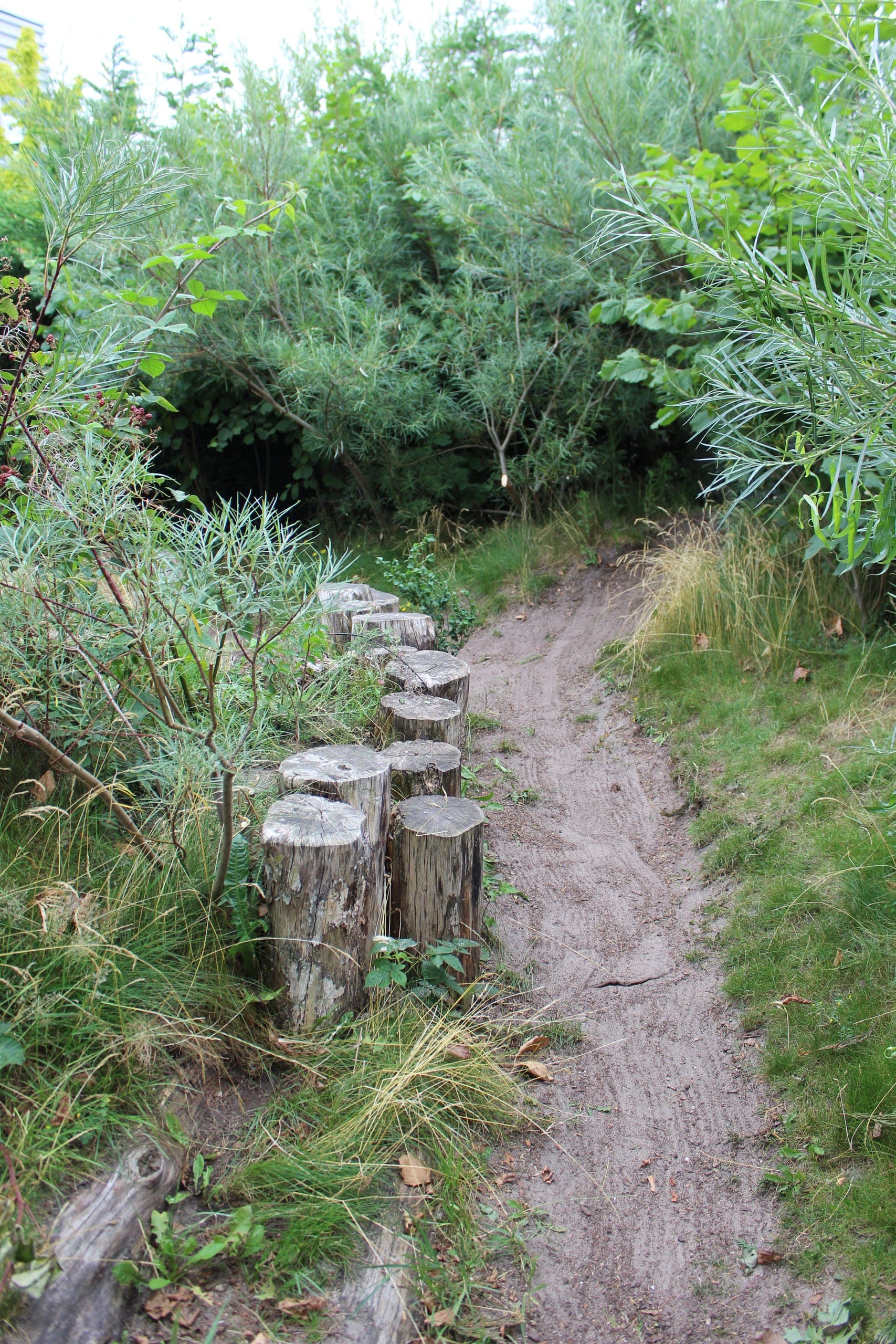 Bordure de troncs naturels